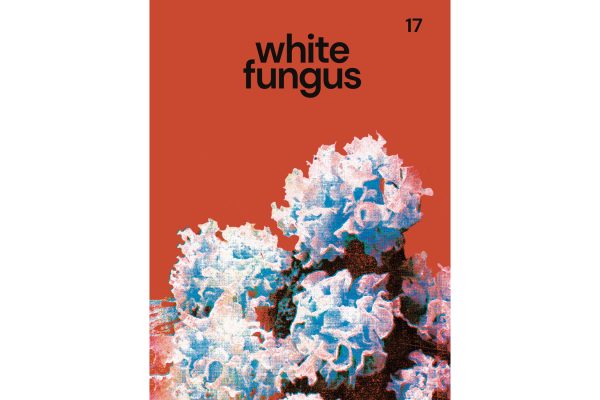 White Fungus7